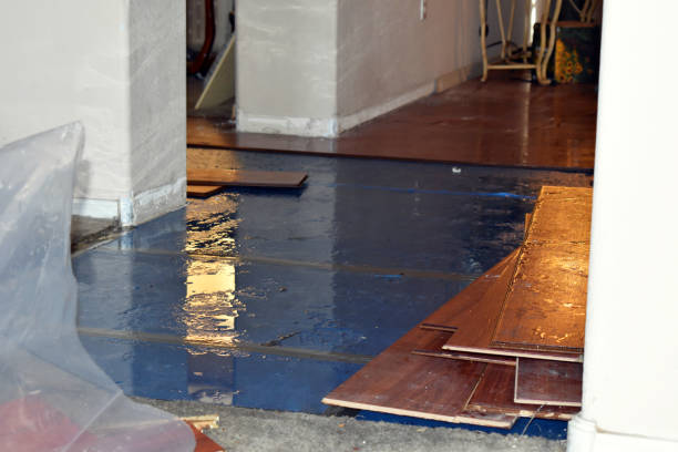 Professional Burst Pipe Cleanup technician working in Borrego Springs, CA